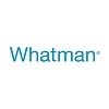 Whatman