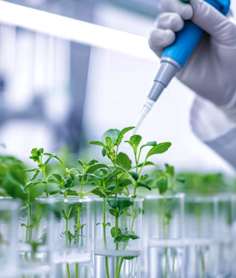 Agriculture, Environmental & Forensic Laboratories