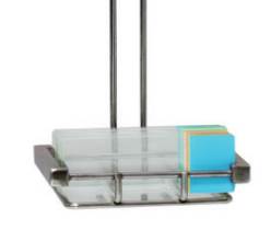 Staining Rack, Stainless Steel