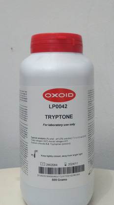 Tryptone, 500g