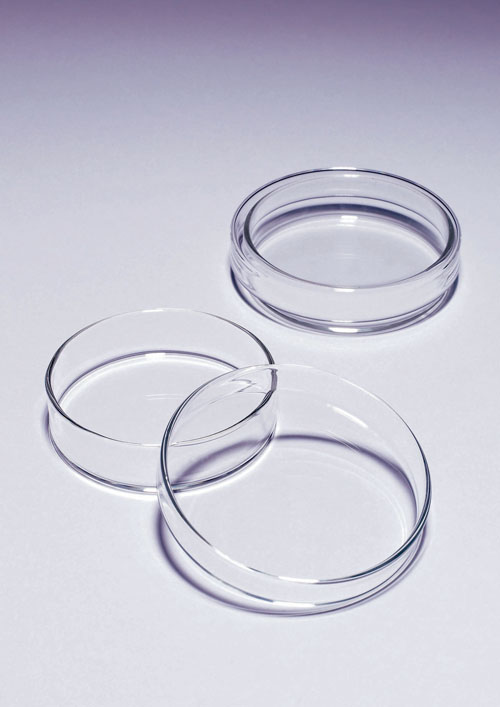 PYREX® Petri Dishes, Borosilicate Glass
