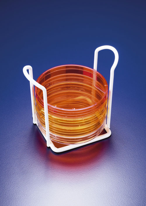 Petri dish rack, Polyamide Epoxy coated