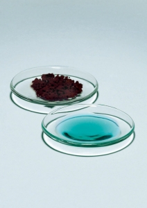 PYREX® Watch Glass, Borosilicate Glass