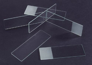 Micro Glass Slides, 76 x 26mm