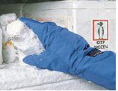 Gloves, Cryo