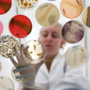Microbiology Media and Supplements