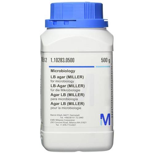 LB Agar (Miller)
