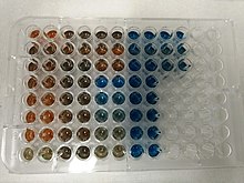 Bradford's Reagent