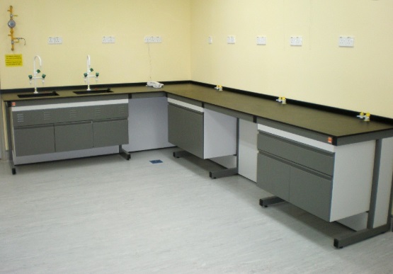Suspended System